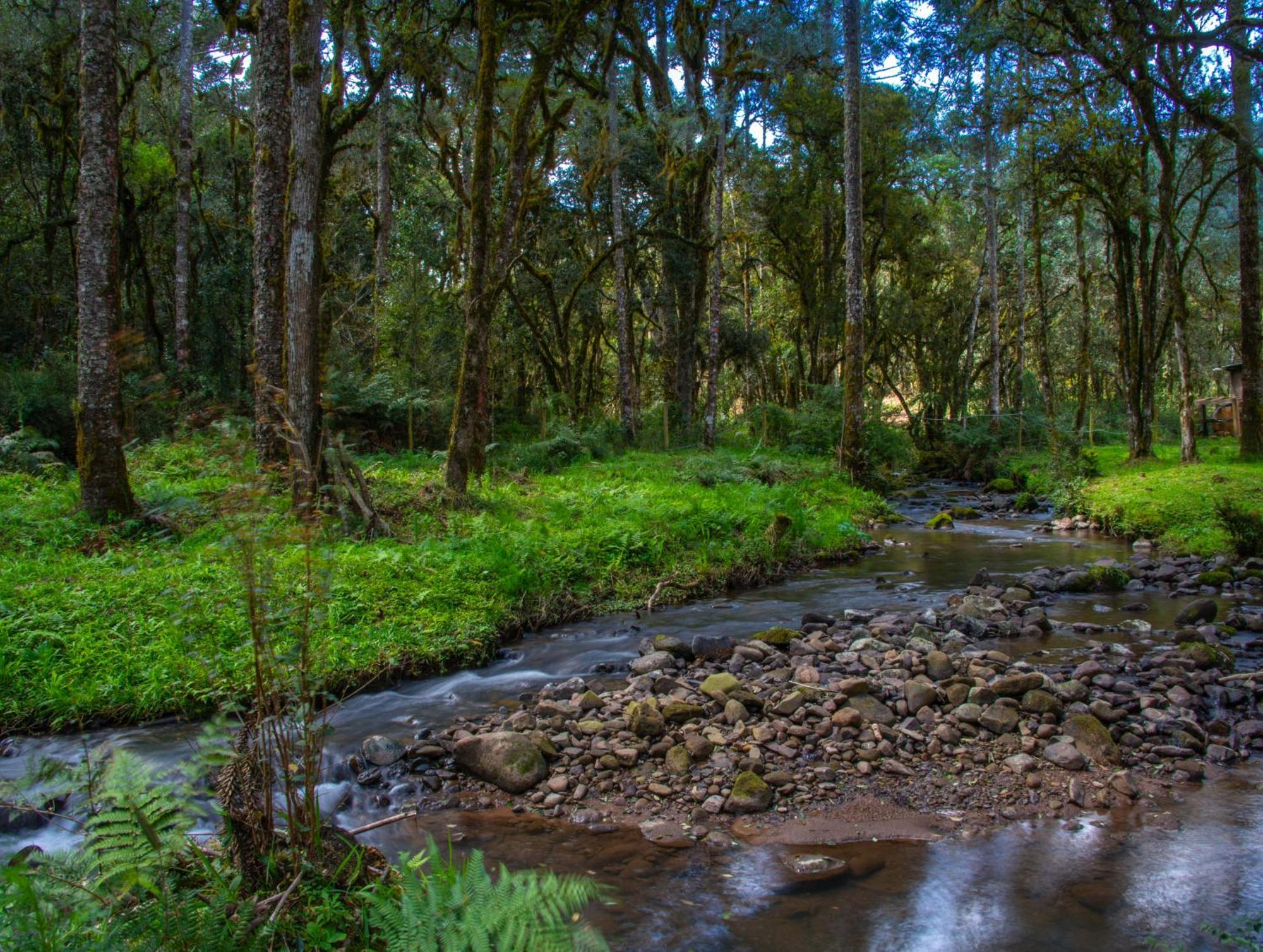Willa Refugio Tres Catarinas Urubici Zewnętrze zdjęcie